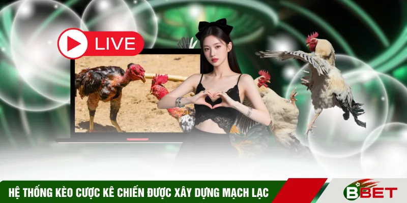 Hệ thống kèo cược kê chiến được xây dựng mạch lạc 