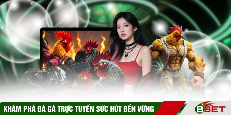 Khám phá đá gà trực tuyến với sức hút bền vững